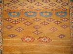  Lovely NWP Rug 2