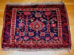 Large Kurdish Bagface w/ dogs - bow wow...