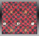  Baluch Balisht, SE Pers;a, late 19th century, 1'6'' x 2'7''