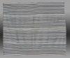  Dhurrie, India (cotton)