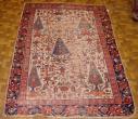  Persian Afshar 
Rarest Tree Of Life
3,9 x 6