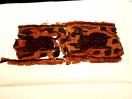  Egyptian Coptic Tunic Band Fragment w/ Prancing Animals, 4 - 600 AD