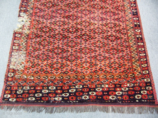 Antique Turkmen Chodor Rug                             