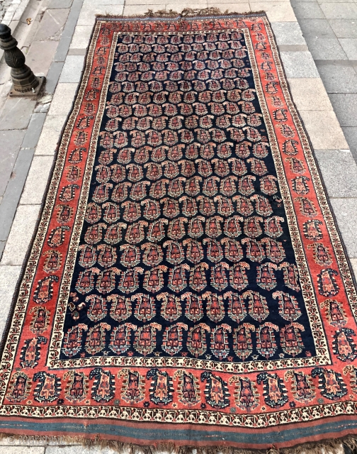 Antique Shiraz 
Size 335x165 cm                            