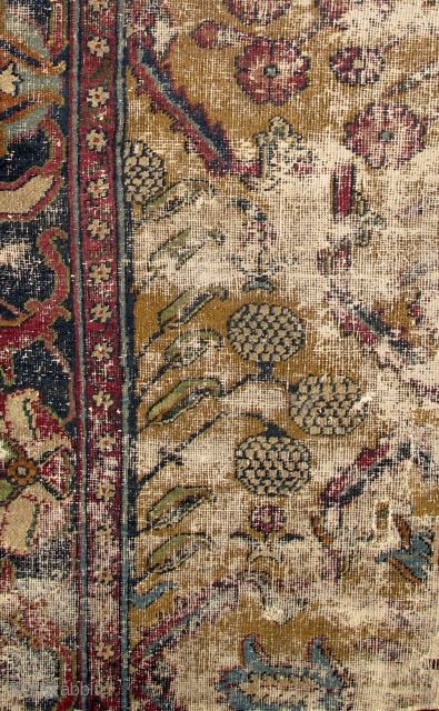 17th century Yellow-Ground Classical Fragment with Magnificent Flowering Plants. most likely Indian or Safavid Eastern Persian. (52"x44" / 132x112cm) There is obvious wear which is magnified in these images.    