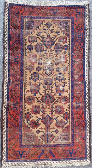 Dramatic camel ground baluch rug - early - as found.                       