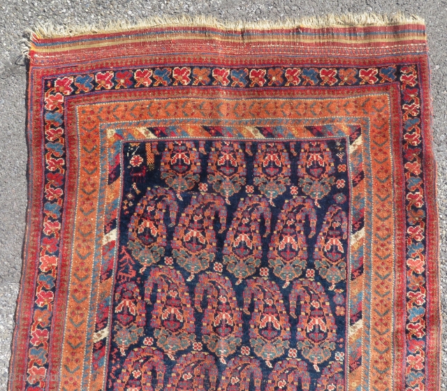 Afshar on wool foundations

Lovely colours

285 x 102 cm

Circa 1900

To EU shipping from France: no custom charges                 
