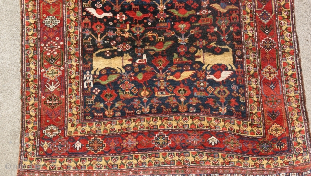 19th Century SW Persian. http://www.artsrugshow.org/opening.html                            