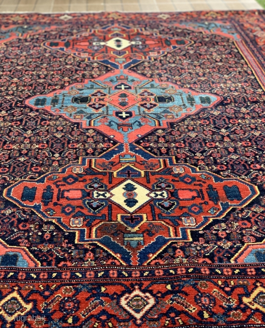 Early 1900's Persian Senneh, with amazing natural colors and classic pattern. 194cm x 138cm. No repairs.                 