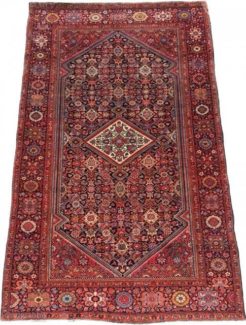 Sarouk Rug Circa 1900’s Size: 127x205 cm                          