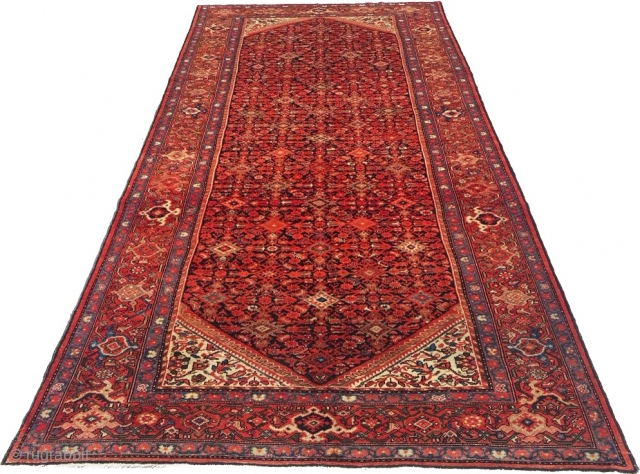 Melayer Carpet Size: 210x400 cm                            