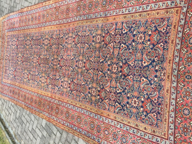 Old khorasan kelle
Size 400/200 cm                            