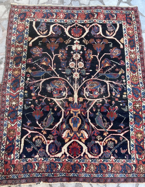 Afshar small rare antik carpet
Size 143/112 cm                          