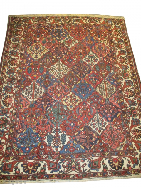 Baktiar Persian knotted circa 1922 antique, 255 x 330 cm, carpet ID: P-5316
In good condition.                  
