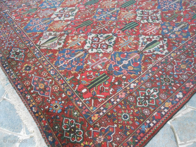 cm 355x328 is tha size of this Chahar Mahal -va-Bachtiari carpet.
Thia panels carpet is in very good condition, washed and ready
for domestic use. Vegetal dyes and fine knot for this one.
Other info  ...