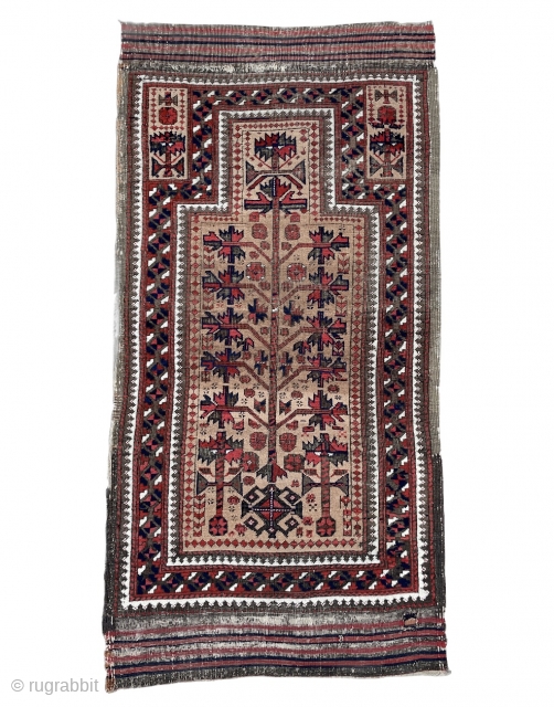 Baluch Prayer Rug with natural camel field - 2'7 x 5'1 - 79 x 155 cm - Extra high resolution pictures and details available on request       