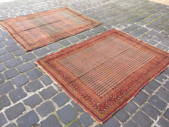 two similar rugs from afshar or could be khamseh south Persia size 190x140 cm
low pile one of them the condition is better           