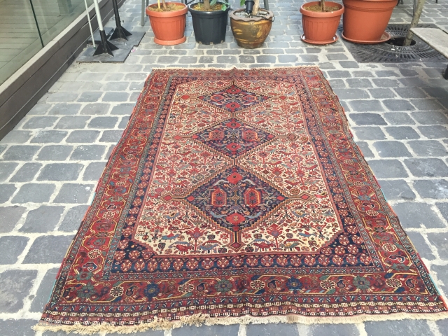 Khamseh birds circa 1920 low pile ends are repaired size 250x150 cm                     