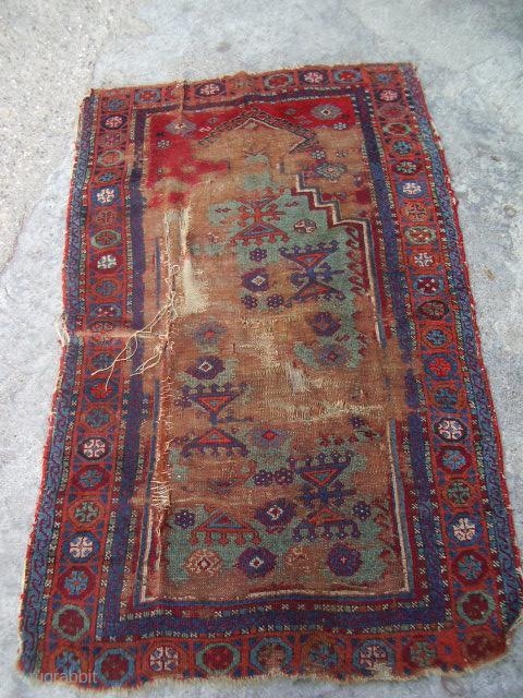 Malatya Rug                               