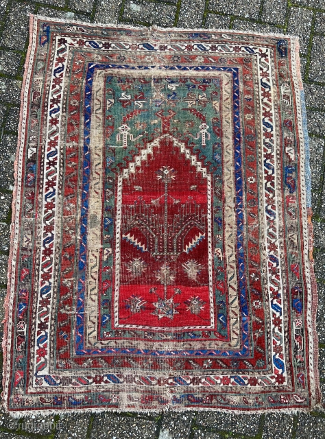 Mid 19th C Konya Kavak Prayer Rug                          