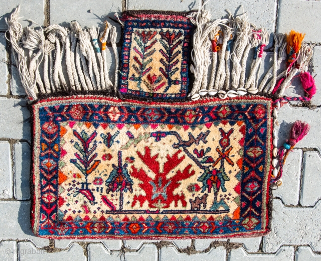 Early Baluch salt bag (namakdan) with knotted high pile front and kilim flatweave back. Wool, cotton and goathair on top of sea shells. Highly collectible.        