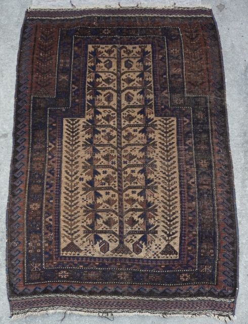 Baluch Prayer tree of life 19th century Rug, size 2'10" x 4'4" (86 x 132 cm.)                 