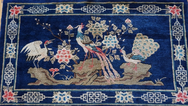 Tibetan Phoenix Peacock Birds Antique Oriental Rug, size is 3'3" x 5'9" ft. shiny wool and wonderful colors.               