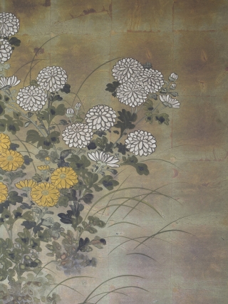 A Rinpa school 4 leaf byobu, mineral pigments and gofun on gold leaf ground. 184cm x 69cm (72.4 x 27 inches). Beautifully drawn and executed, the well balanced composition featuring chrysanthemums and grasses  ...