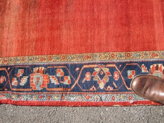 solid antique persian bidjar rug great medallion design 8' 8" x 10' 8" wear at one end some black spots minor moth no dry rot clean rug no pets 685 plus shipping.
SOLDDDDDDDDDDDDDDDDDDDDDDDDD 