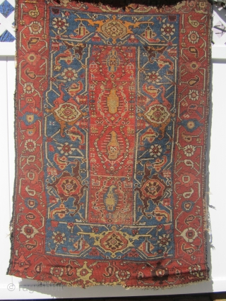 antique kurdish rug great border design ends issue solid rug nice colors no dry rot very respectful 41" x 60" SOLDDDDDDDDDDDDDDDDDDDDDDD            