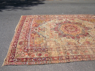 Lavar great colors solid rug few worn spot no holes 9’ 4” x 13’ 7” clean ready to go no dry rot           