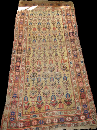 Kurd Bidjar long rug with good color and decent age.                       