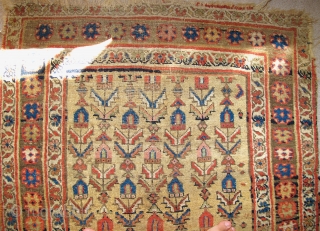 Kurd Bidjar long rug with good color and decent age.                       