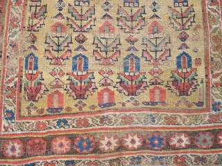 Kurd Bidjar long rug with good color and decent age.                       