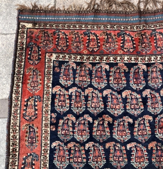 Antique Shiraz 
Size 335x165 cm                            