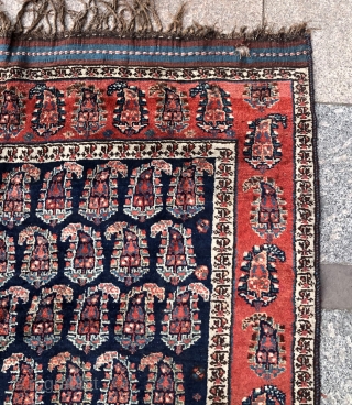 Antique Shiraz 
Size 335x165 cm                            