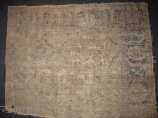 17th century Yellow-Ground Classical Fragment with Magnificent Flowering Plants. most likely Indian or Safavid Eastern Persian. (52"x44" / 132x112cm) There is obvious wear which is magnified in these images.    