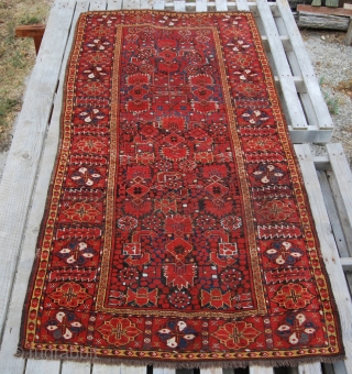 Turkmen Beshir rug. Cm 110x212. Late 19th century. Good cond. Very nice, rare medium size. Seven colors: 3/4 shades of madder red, yellow, light and dark indigo blue, green, 2 browns, white  ...