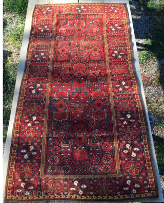 Turkmen Beshir rug. Cm 110x212. Late 19th century. Good cond. Very nice, rare medium size. Seven colors: 3/4 shades of madder red, yellow, light and dark indigo blue, green, 2 browns, white  ...