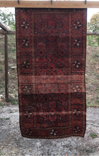 Turkmen Beshir rug. Cm 110x212. Late 19th century. Good cond. Very nice, rare medium size. Seven colors: 3/4 shades of madder red, yellow, light and dark indigo blue, green, 2 browns, white  ...