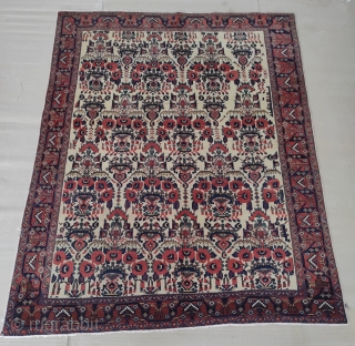 Very high quality antique Avshar rug

Size : 143 x 183 cm 

Please contact me directly on this email : alpagutrugs@gmail.com             