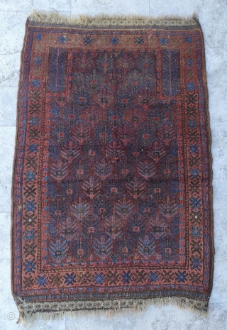 Beluch Rug 

Size : 95 x 140 cm 

Please contact me directly : alpagutrugs@gmail.com                   