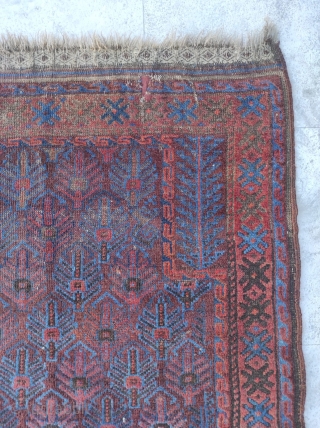 Beluch Rug 

Size : 95 x 140 cm 

Please contact me directly : alpagutrugs@gmail.com                   