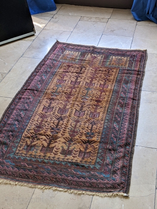 Great colors on this antique Baluch prayer rug. The field is certainly camel wool and all natural dyes throughout. Folds like a cloth. 3'0" x 5'6" or 91 x 166cm.   