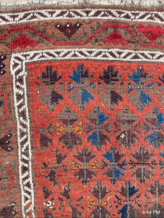 Antique symmetrically knotted Baluch rug with 11 colors and a striking light blue. The bottom edge wasn't cut, the weaver decided to shorten the two outer borders. No holes. 

2'8" x 5'0"  ...