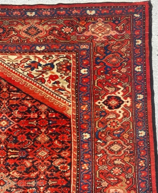 Melayer Carpet Size: 210x400 cm                            