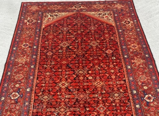 Melayer Carpet Size: 210x400 cm                            