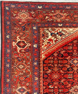 Melayer Carpet Size: 210x400 cm                            