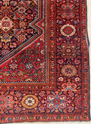 Sarouk Rug Circa 1900’s Size: 127x205 cm                          