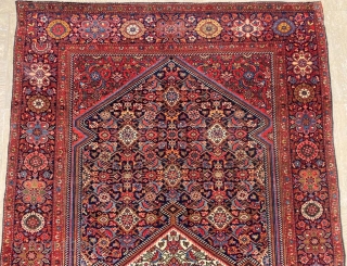 Sarouk Rug Circa 1900’s Size: 127x205 cm                          